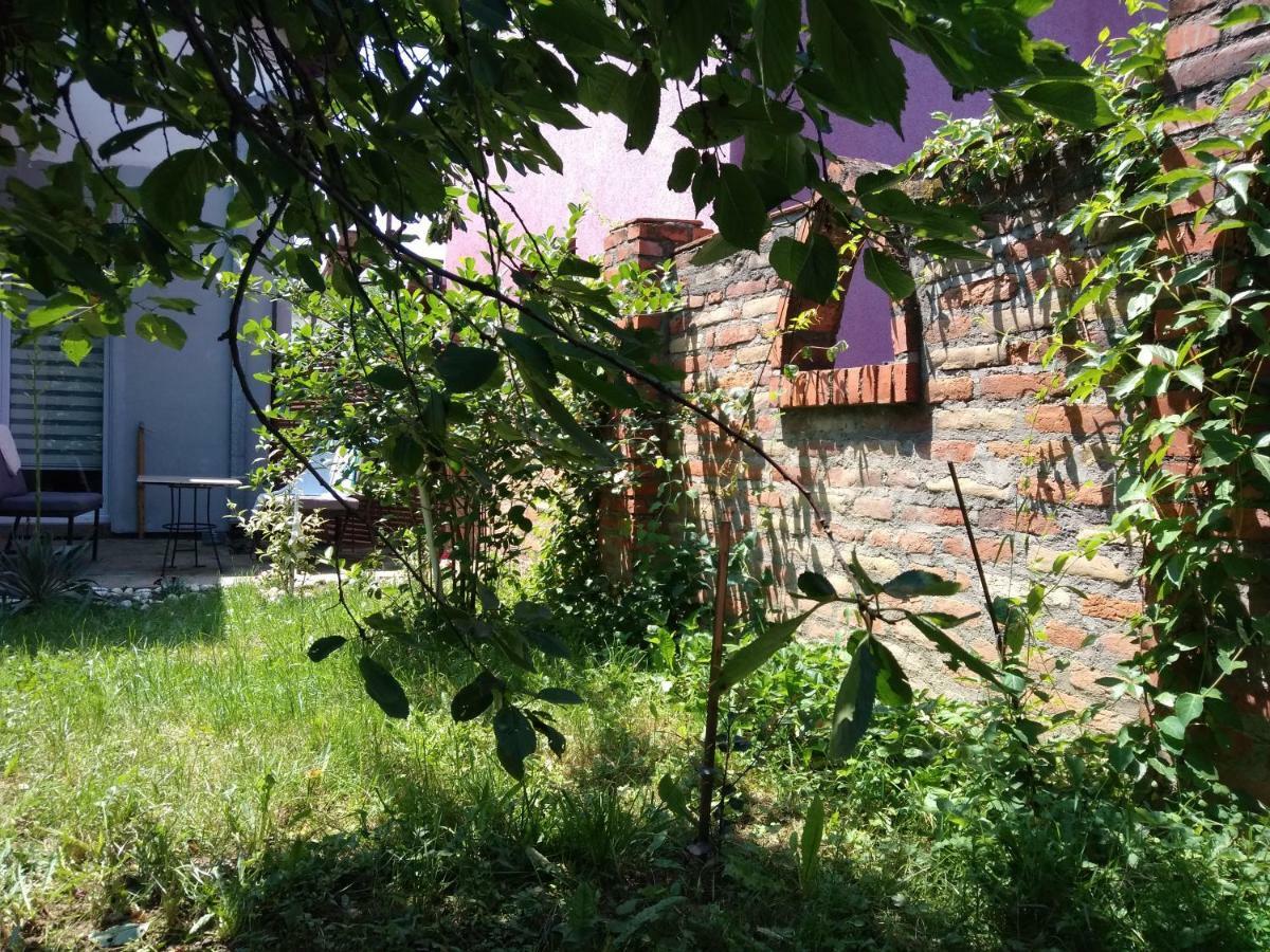 Vrnjačka BanjaGarmani公寓 外观 照片
